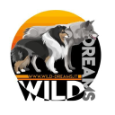 Wild Dreams