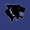 Wildcat Cranes