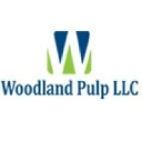 Woodland Pulp LLC