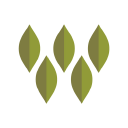 Woodmont Cabinetry