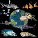 WorldFish