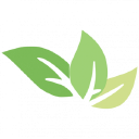 York Healthcare