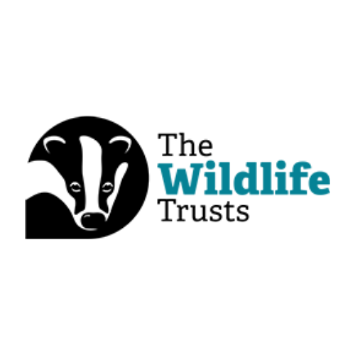 The Wildlife Trusts logo