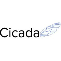 Cicada