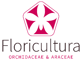 Floricultura