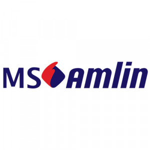 MS Amlin