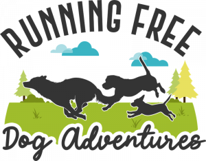 RUNNING FREE Dog Adventures
