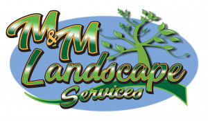 M & M Landscape Services