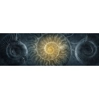 CORPWELL FOUNDATION