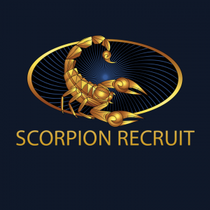 SCORPION RECRUITMENT SERVICES LTD