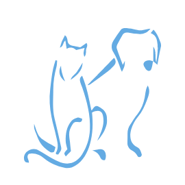 Torquay and Surfcoast Veterinary Clinics