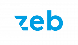 zeb consulting