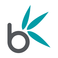 Bamboo Nine