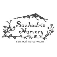 Sanhedrin Nursery