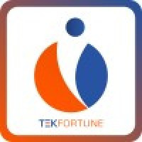 Tekfortune IT India Pvt Ltd