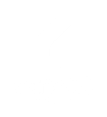 Consort Group