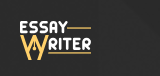 Essay writer IE