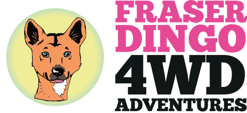 Fraser Dingo 4wd Adventures