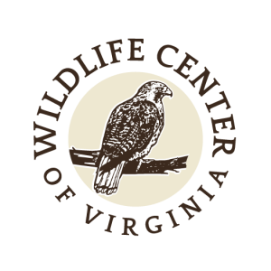 Wildlife Center of Virginia