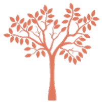 Medisch tHuis Kriekenbos bv