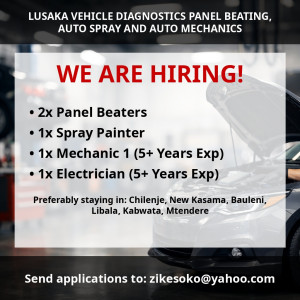 Lusaka Vehicle Diagnosis Ltd