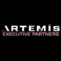 ARTEMIS EXECUTIVE PARTNERS