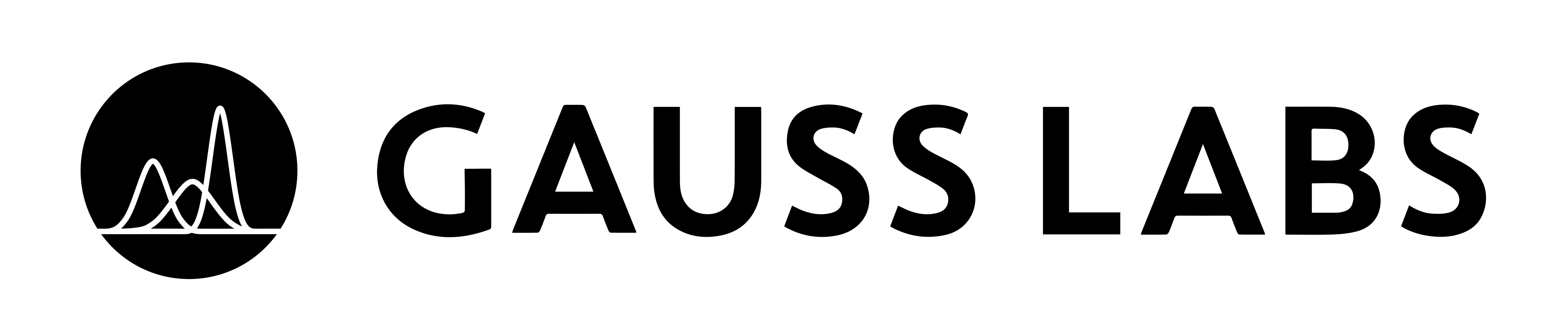 Gauss Labs