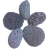 GREYSTONE PROGRAMS INC