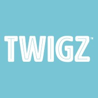 TWIGZ Craft Pretzels