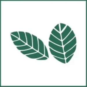 Robigo