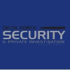 Delta Force PI LLC