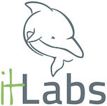 IT Labs