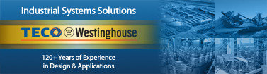 TECO Westinghouse