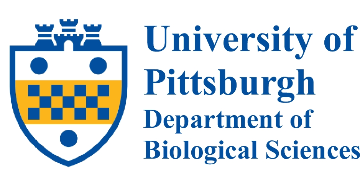 Department of Neuroscience UPitt