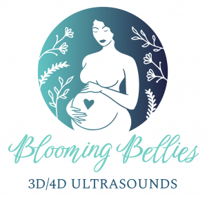 Blooming Bellies Imaging