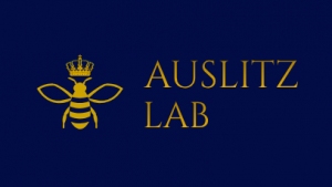 VšĮ Auslitz Lab