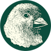 Finch LLC