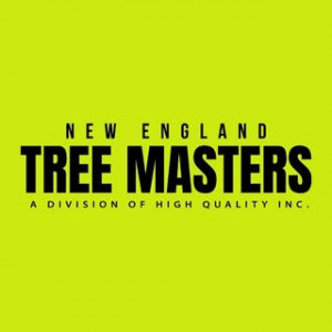 New England Tree Masters