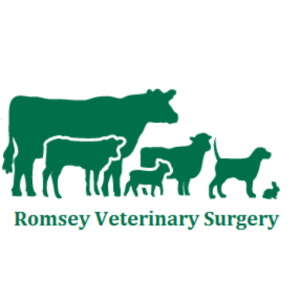 Romsey Veterinary Surgery