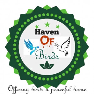 Haven Of Birds