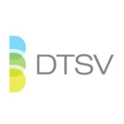 DTSV Inc