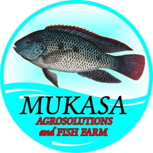 Mukasa Agrosolutions and fish farm Ltd