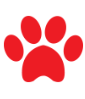Country Pine Kennels & Cattery