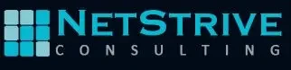 NetStrive Consulting