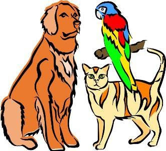 Adore All Pet Care Service