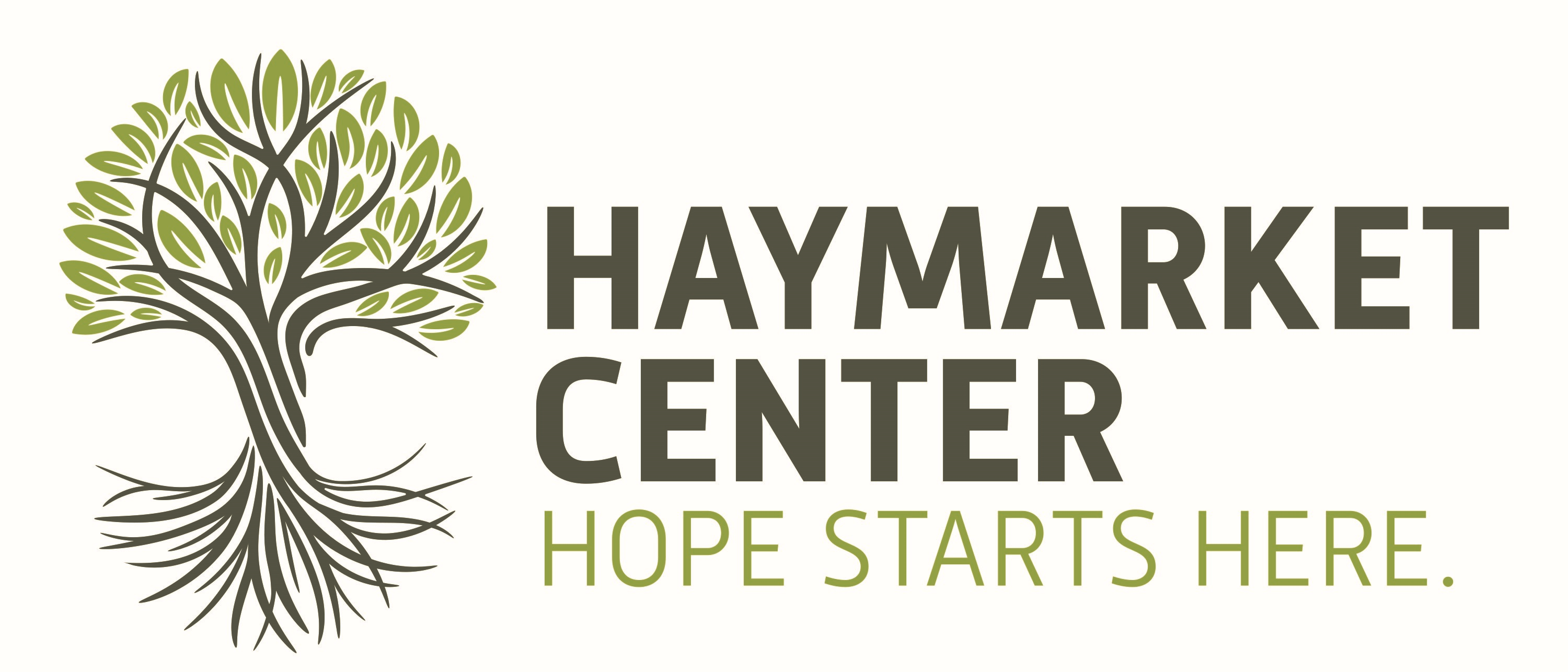 HAYMARKET CENTER