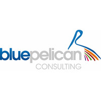 Blue Pelican Consulting Limited