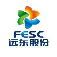 远东股份 Far East Smart Energy