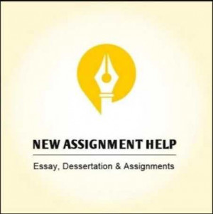 new assignment help uk
