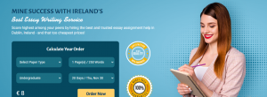 Essay Writer IE
